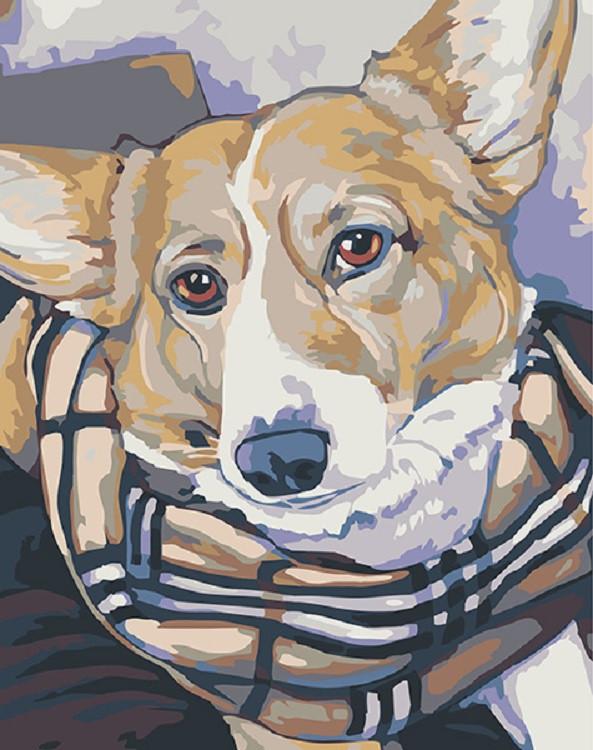Perro Lindo con Bufanda a Cuadros Pintar por Números