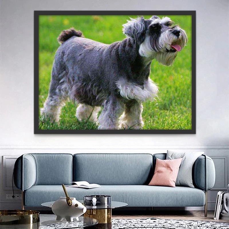 Perro Lindo en el Césped Pintar por Números