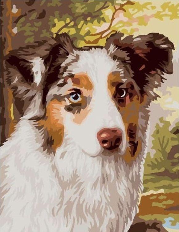 Perro Lindo y un Árbol Pintar por Números
