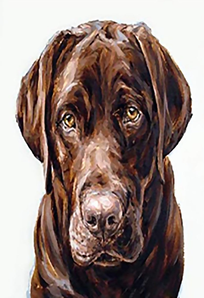 Perro Marrón Pintar por Números