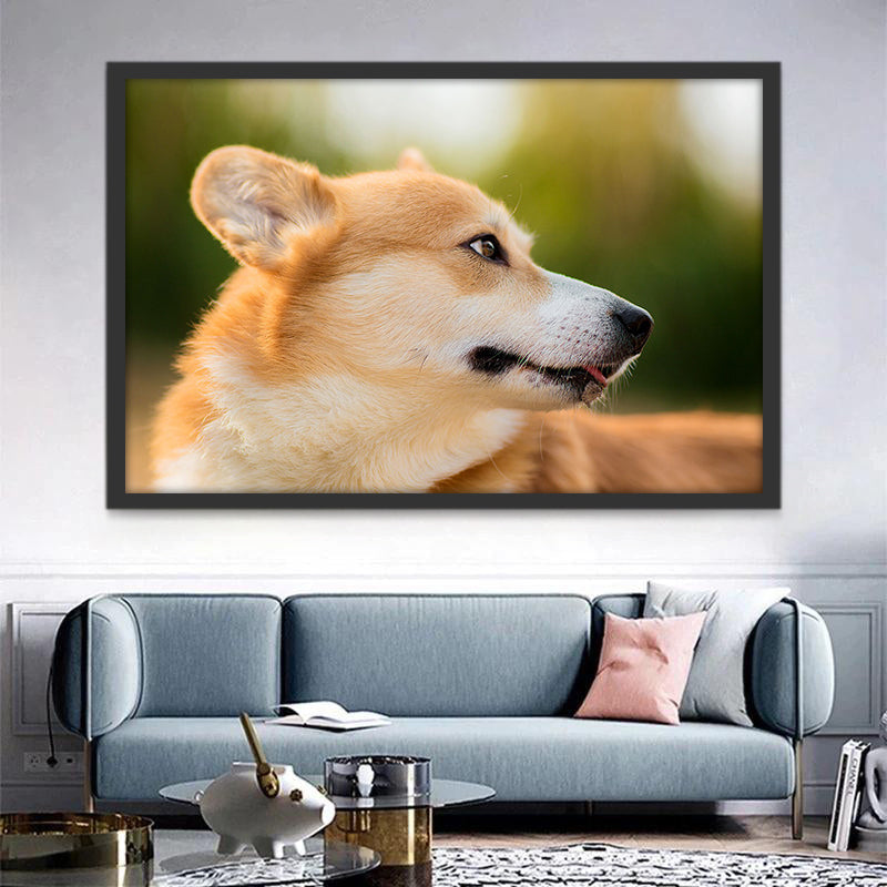 Perro Mirando Hacia Atrás Pintar por Números