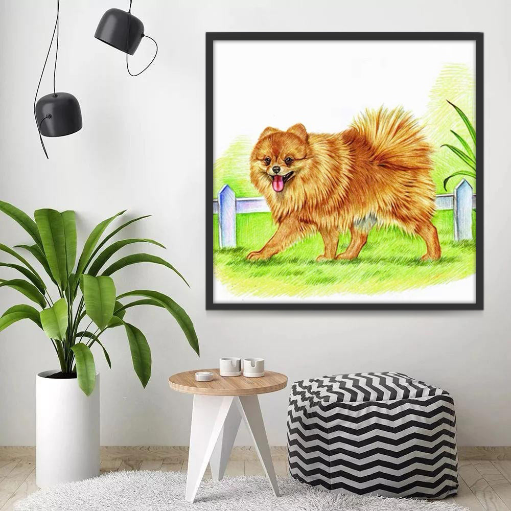 Perro Paseando por el Césped Pintar por Números