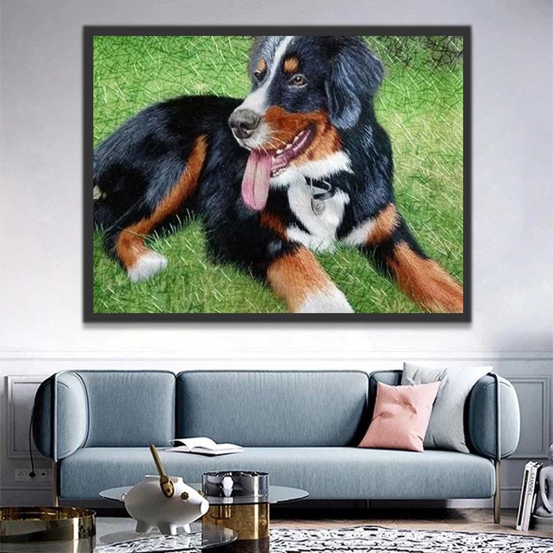 Perro Sentado en el Césped Pintar por Números