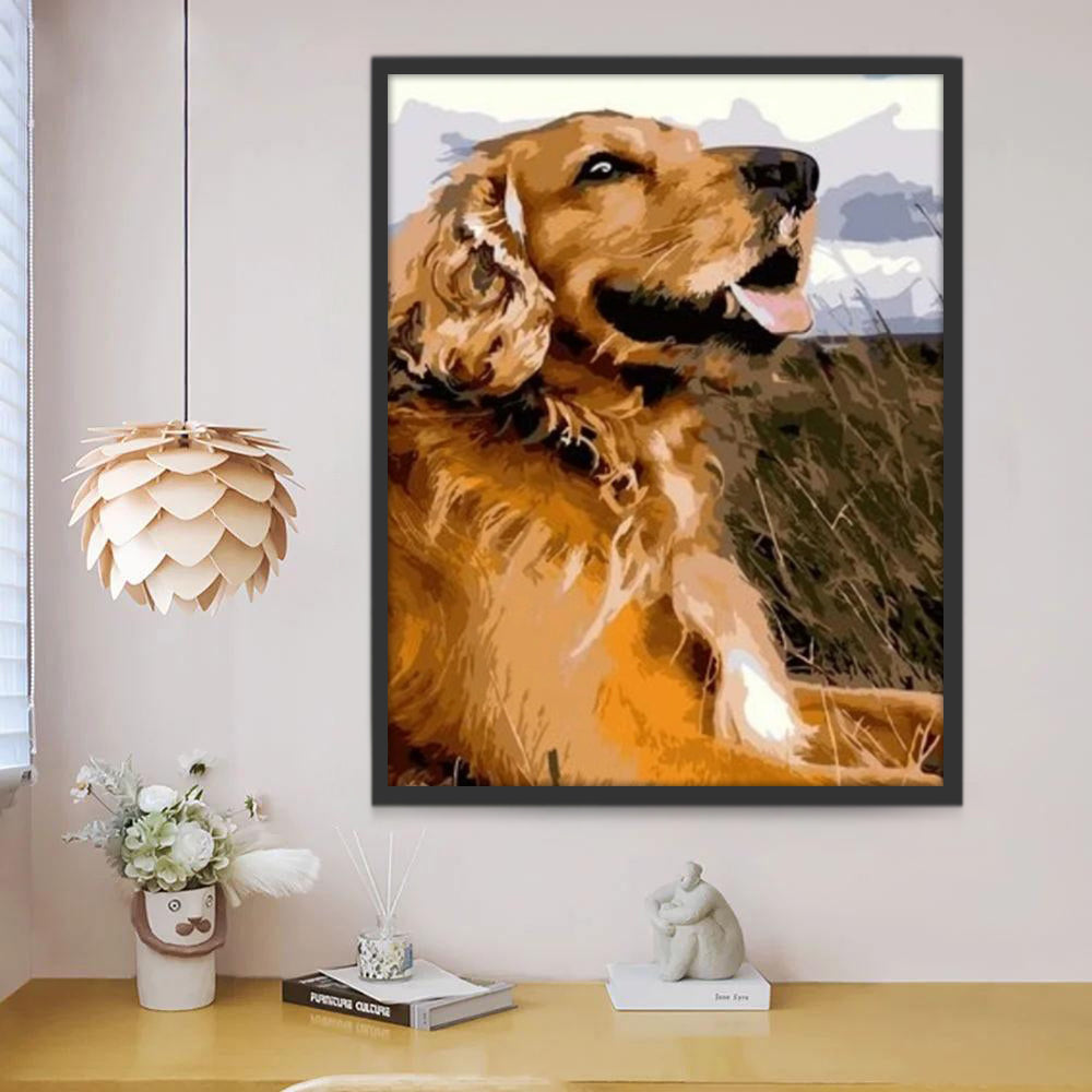Perro Sonriente Mirando el Cielo Pintar por Números