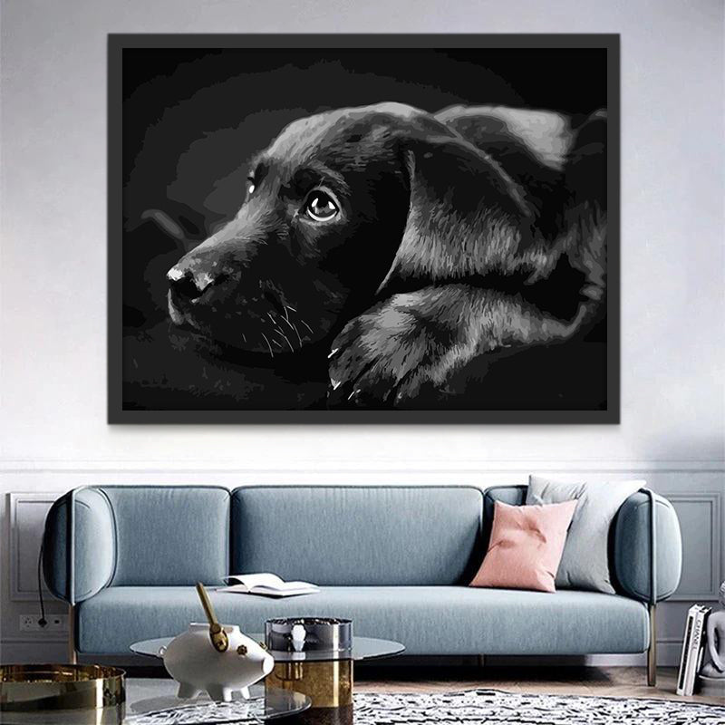 Perro Triste en Blanco y Negro Pintar por Números