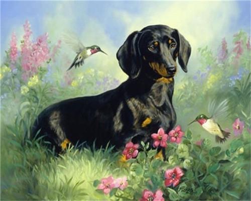 Perro y Dos Colibríes en las Flores Pintar por Números
