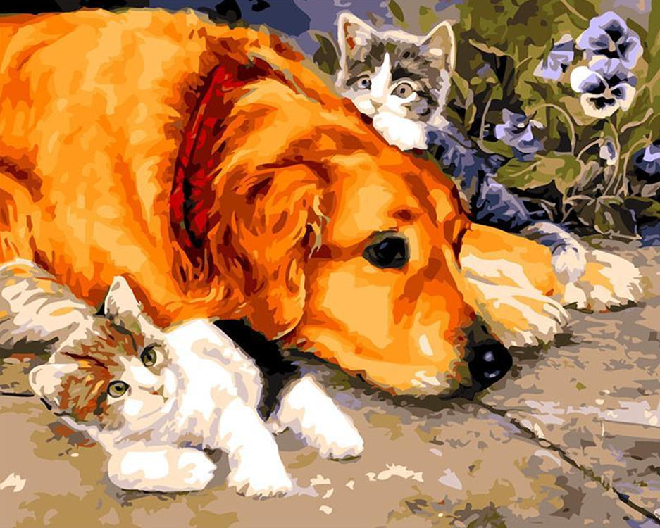Perro y Dos Gatitos Pintar por Números