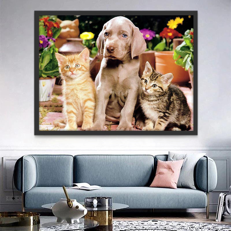 Perro y Dos Gatos Pintar por Números