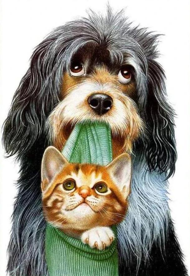 Perro y Gatito Pintar por Números