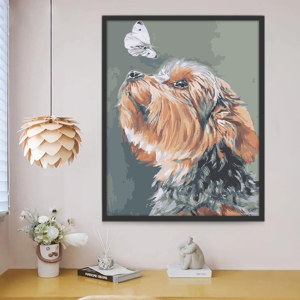 Perro y Mariposa Pintar por Números