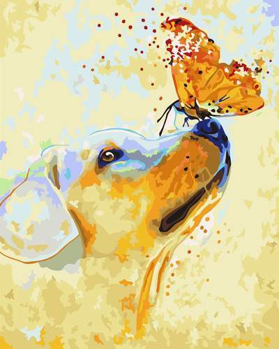 Perro y Mariposa Pintar por Números