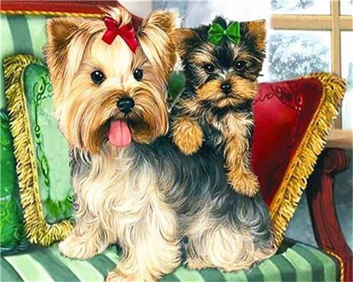 Perro y Perrito Adorables en el Sofá Pintar por Números