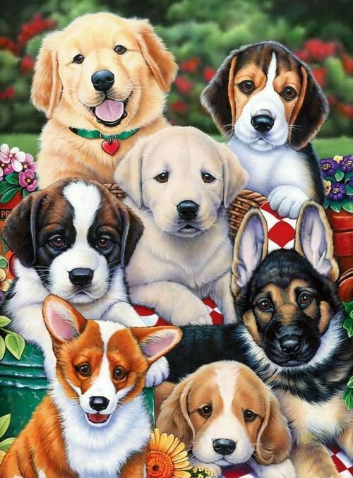Perros de Razas Diferentes Pintar por Números