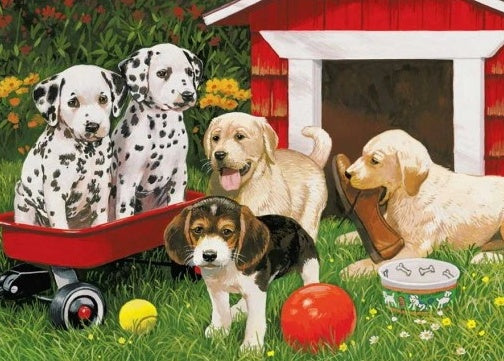 Perros Jugando en Césped Pintar por Números