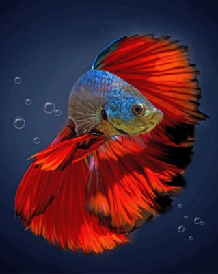 Pez Betta de Cola Roja en Mar Azul Oscuro Pintar por Números