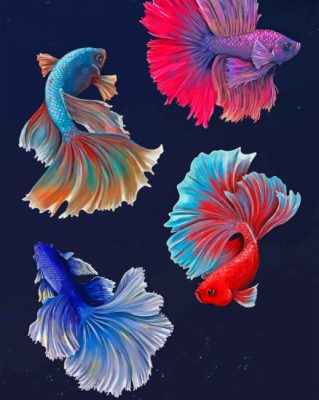 Pez Betta Rojo y Azul Claro y Azul Oscuro y Morado Pintar por Números