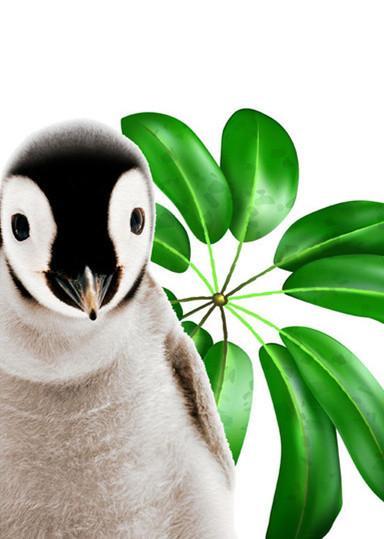 Pingüino Lindo delante de una Hoja Verde Pintar por Números