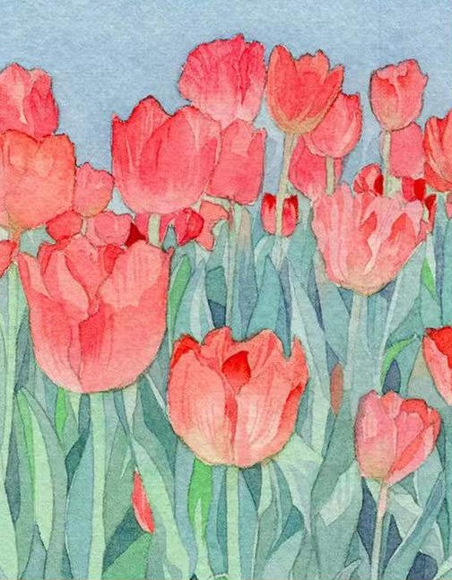 Pintura Acuática de Campo de Tulipán Rojo Pintar por Números