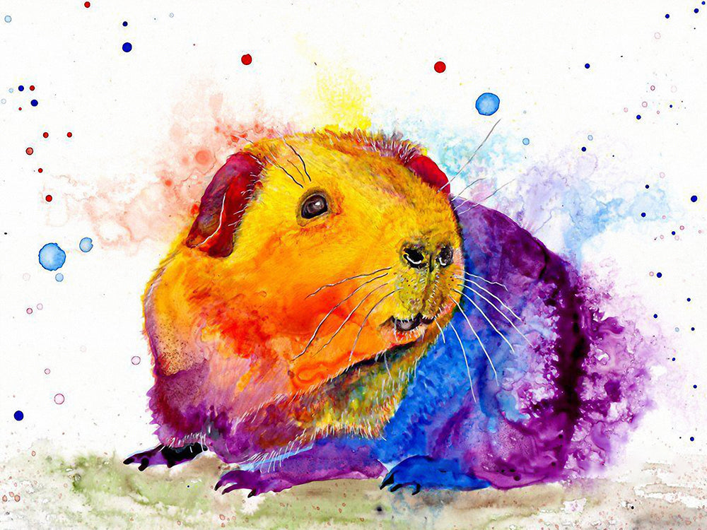 Pintura Acuática de Conejo de Colores Vivos Pintar por Números