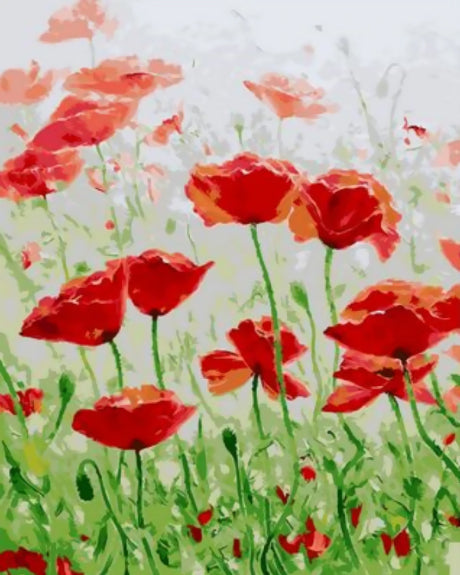 Pintura al Óleo de Césped Verde de Amapolas Rojas Pintar por Números