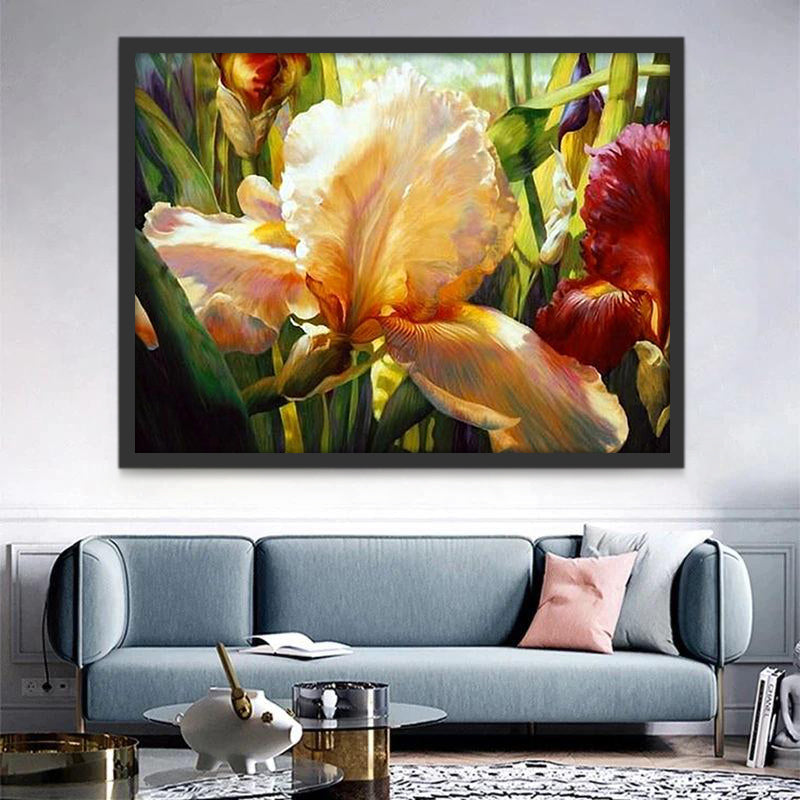 Pintura al Óleo de Flores de Iris de Color Blanco y Rojo Pintar por Números