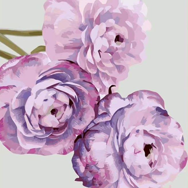 Pintura Bonita de Peonías Moradas Florecientes Pintar por Números