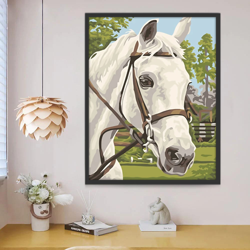 Pintura de Caballo Blanco con Cabestro Pintar por Números