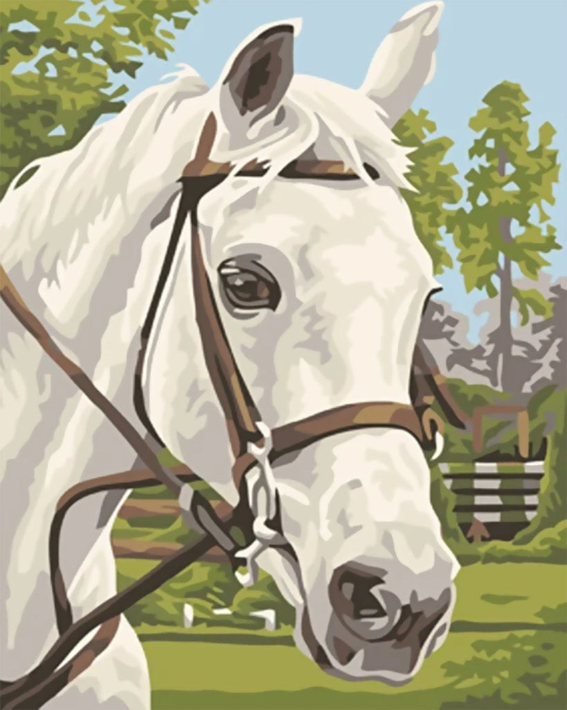 Pintura de Caballo Blanco con Cabestro Pintar por Números