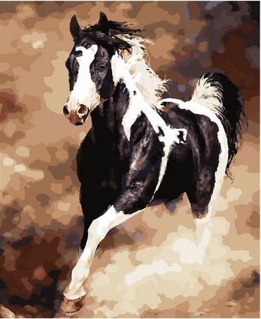 Pintura de Caballo de Color Blanco y Negro Pintar por Números
