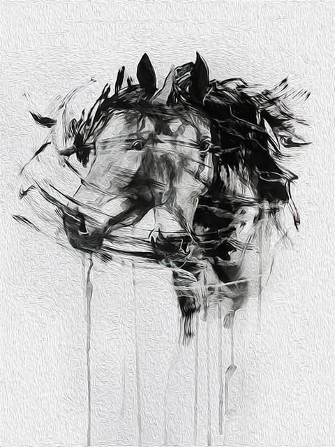Pintura de Caballo en Tinta China Pintar por Números