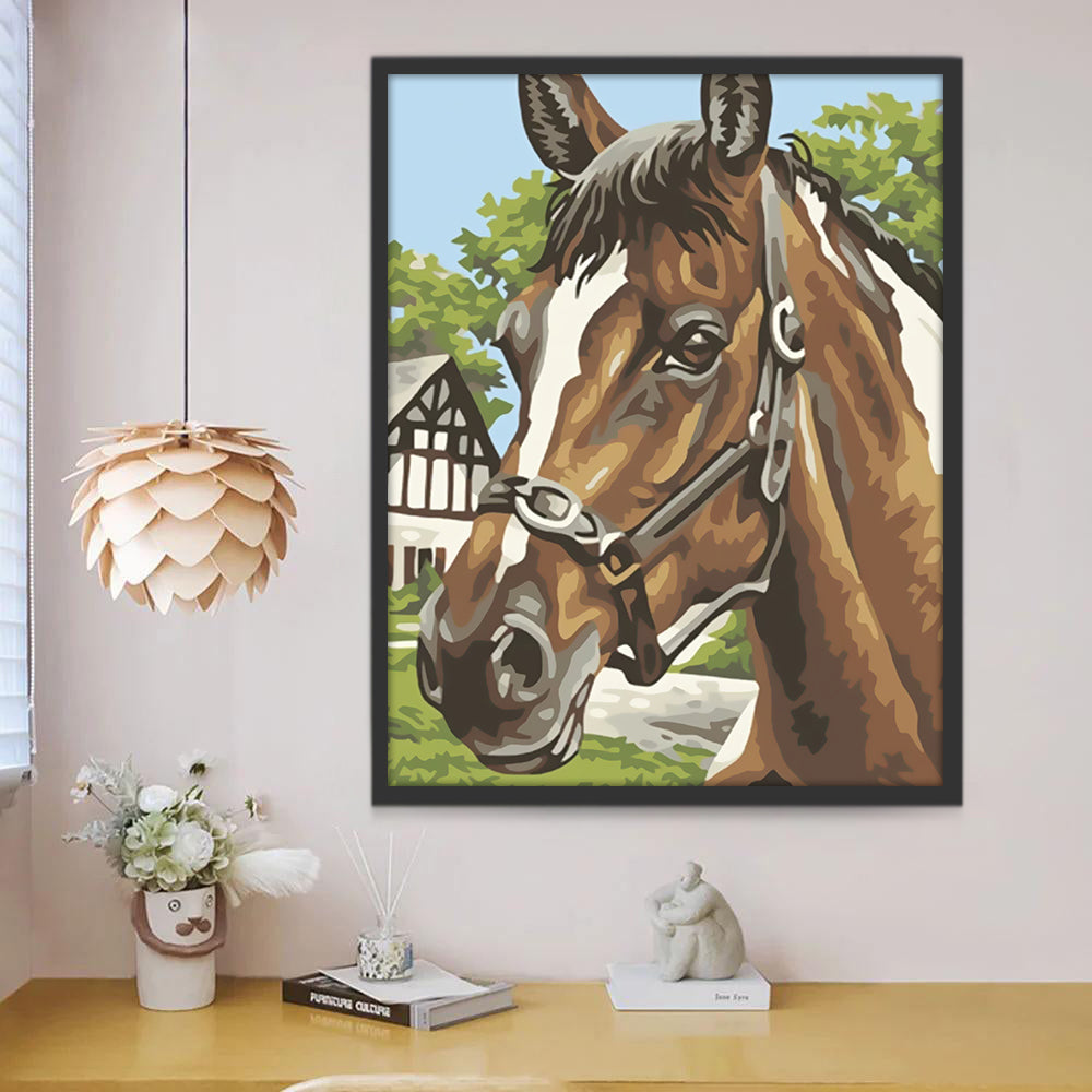 Pintura de Caballo Marrón con Cabestro Pintar por Números