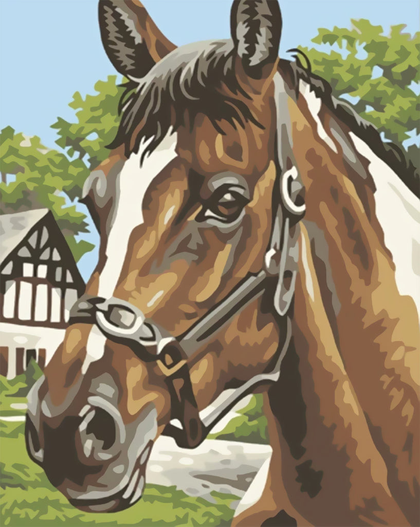 Pintura de Caballo Marrón con Cabestro Pintar por Números