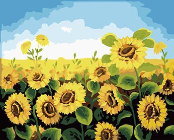 Pintura de Campo de Girasol y Cielo Azul al Óleo Pintar por Números