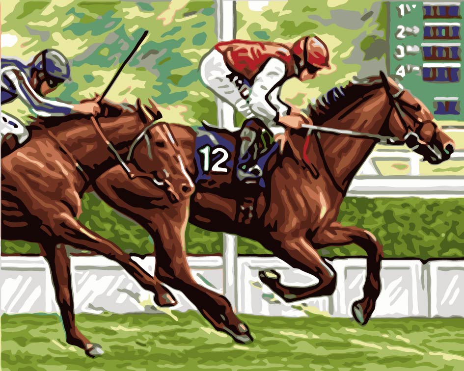 Pintura de Equitación Pintar por Números
