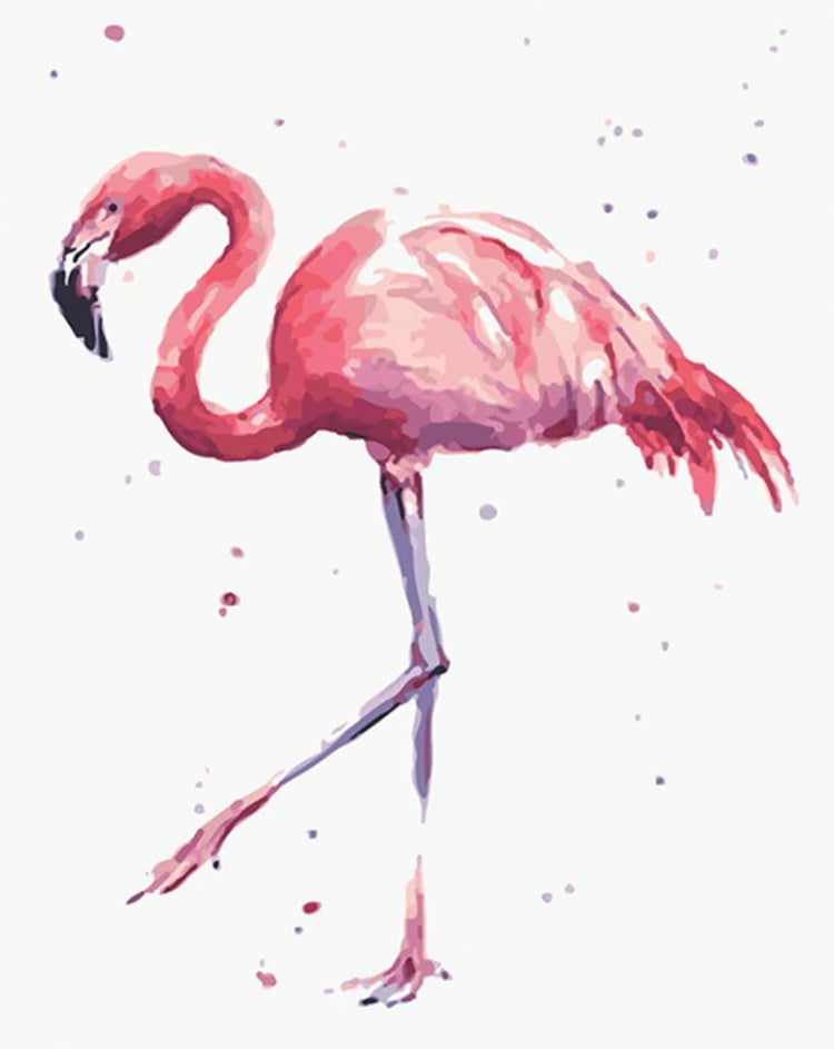 Pintura de Flamenco Rosa Pintar por Números