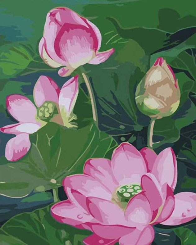 Pintura de Lotos Rosados entre Hojas Verdes de Loto Pintar por Números