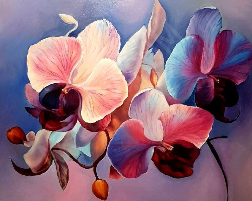 Pintura de Orquídeas Blancas en el Fondo Azul Pintar por Números