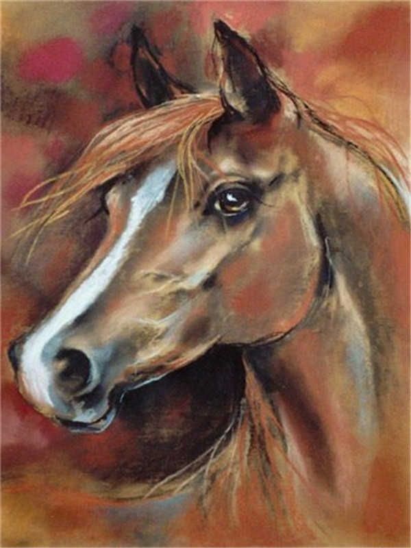 Pintura de Perfil de Caballo Marrón Pintar por Números