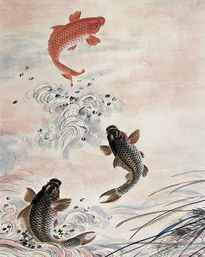 Pintura de Pez Koi en Tinta China Pintar por Números