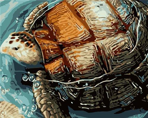 Pintura de Tortuga en la Superficie de Agua Pintar por Números