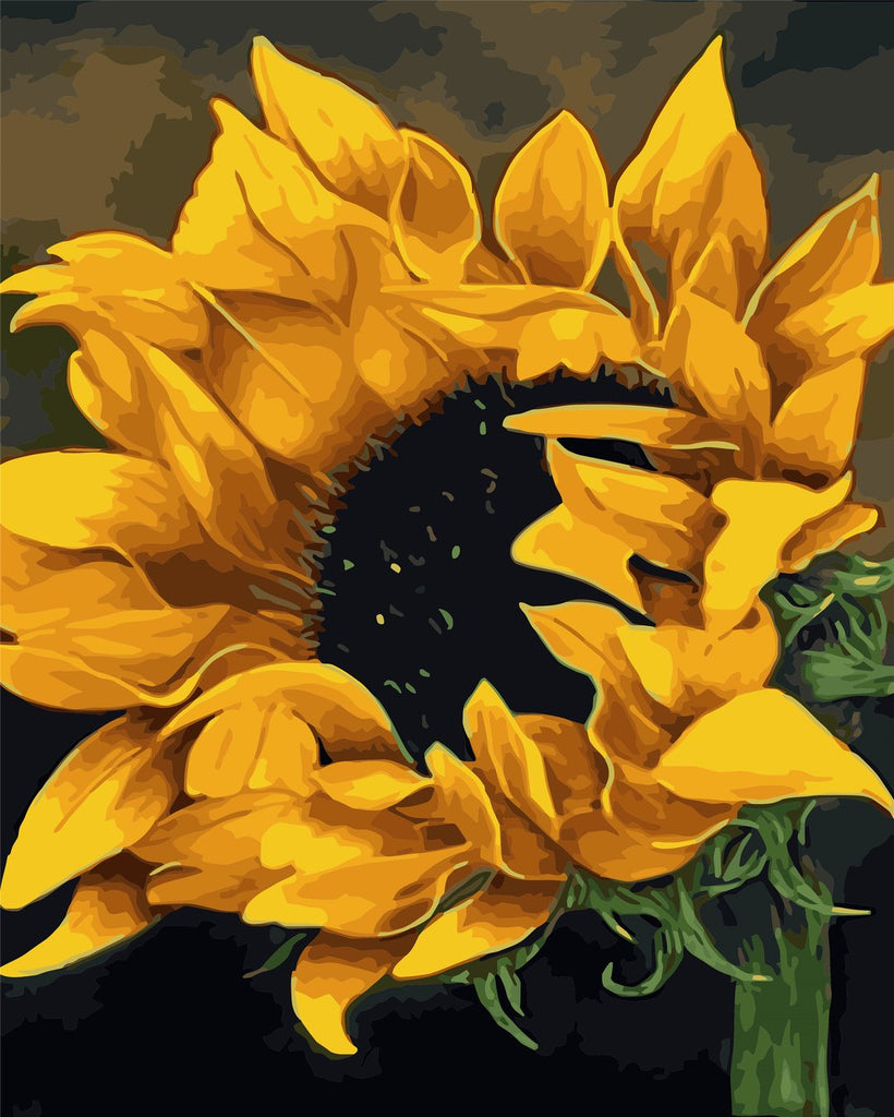 Pintura de un Girasol con Fondo Oscuro Pintar por Números