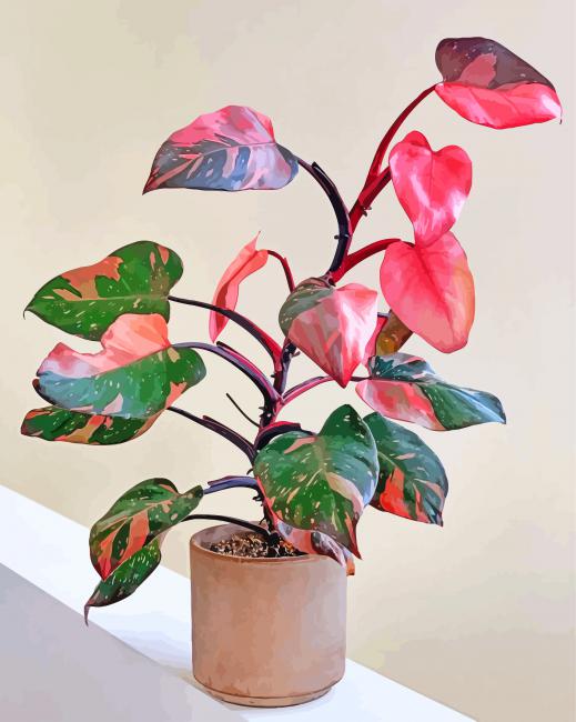 Planta de Hojas de Colores Diferentes en Maceta Pintar por Números
