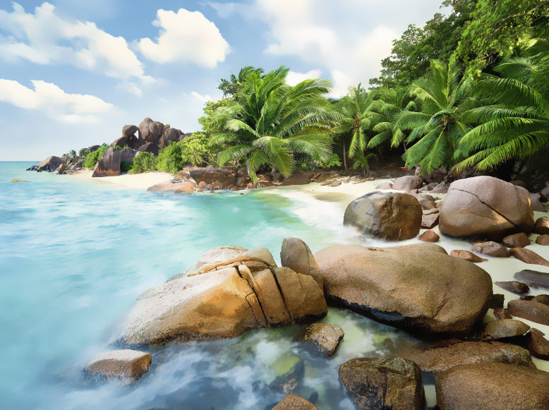 Plantas Tropicales en la Playa Pintar por Números