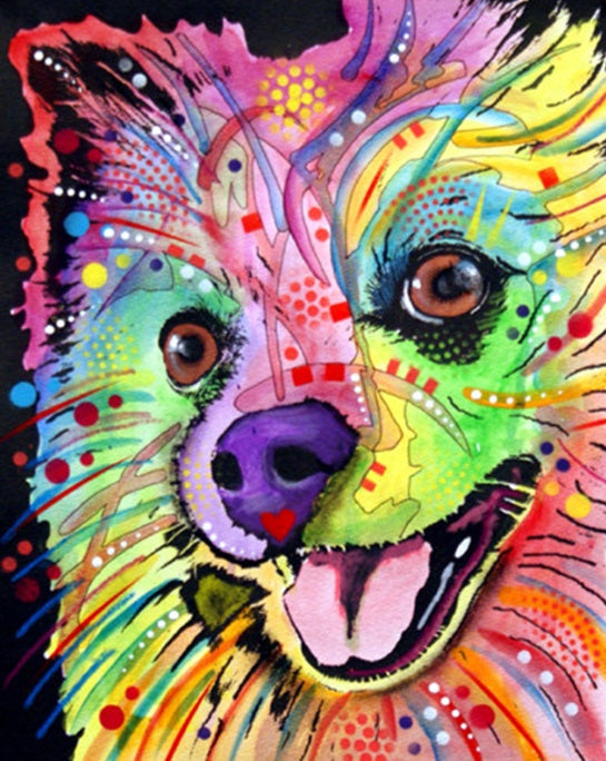 Pomerania Colorido Pintar por Números
