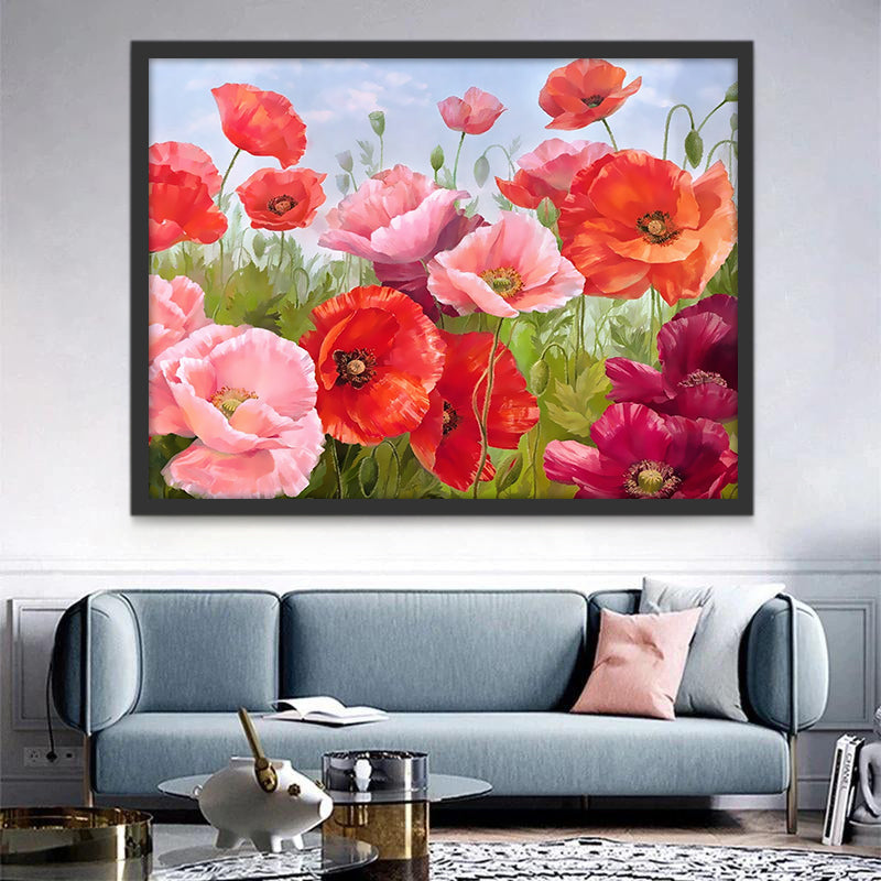 Prado con Amapolas de Colores Diversos Pintar por Números