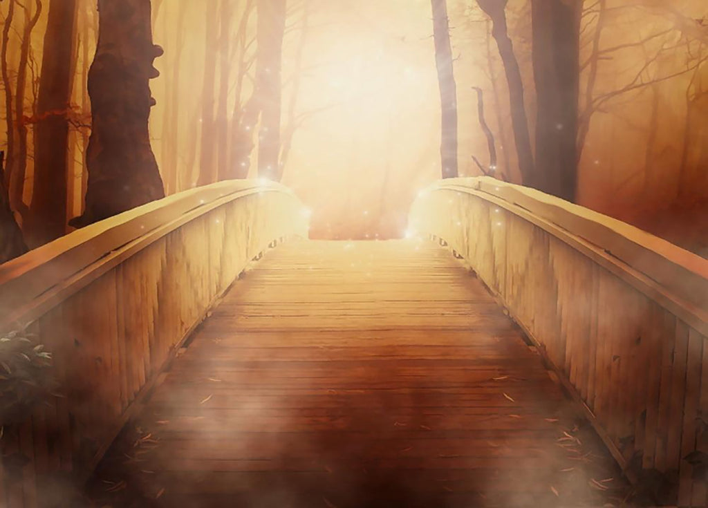 Puente en el Bosque con la Niebla Pintar por Números