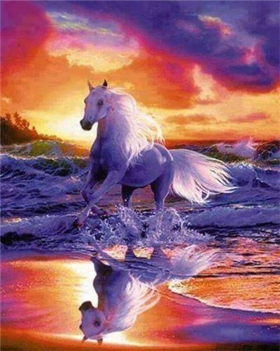 Puesta del Sol y Caballo Corriendo en Olas Marinas Pintar por Números