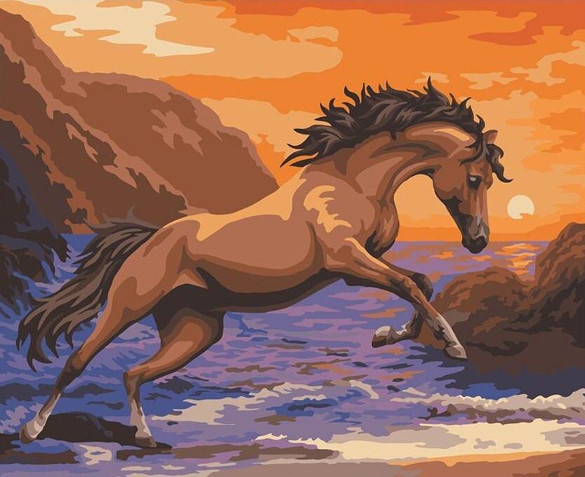 Puesta del Sol y Caballo en Playa Pintar por Números