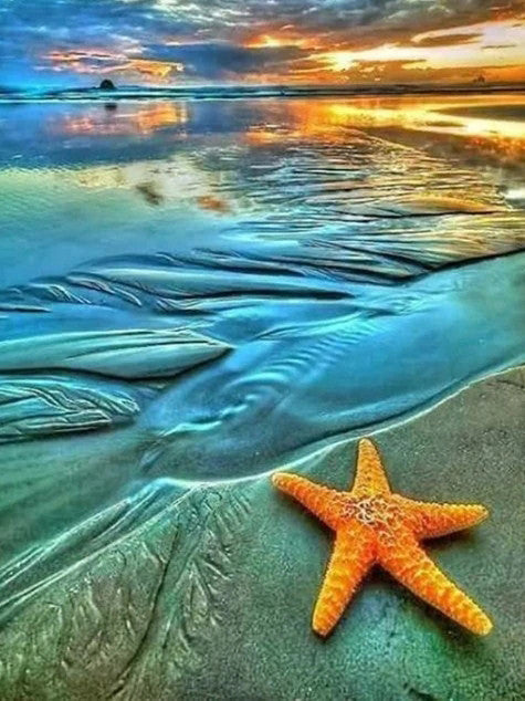 Puesta del Sol y Estrella de Mar Pintar por Números