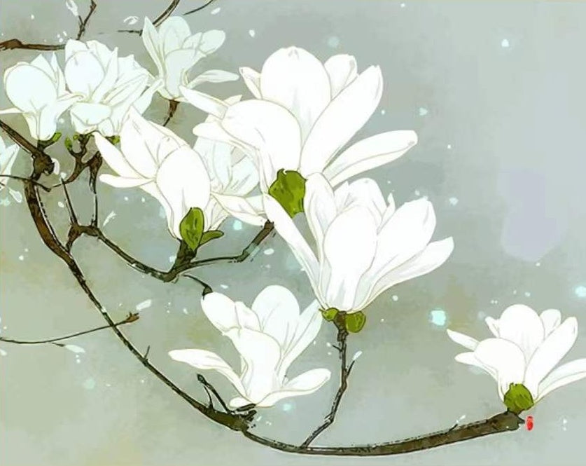 Rama con Flores de Magnolia Blanca Pintar por Números